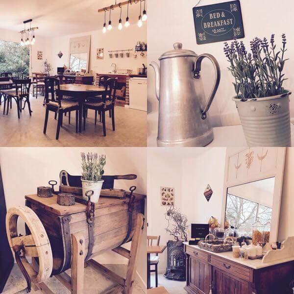 La Nicoulette Bed and Breakfast Gapennes Eksteriør billede